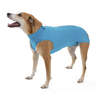 Petmed Body Antimicrobial Quirúrgico para Perro Macho, Mediano Petmed Body Antimicrobial Quirúrgico para Perro Macho, Mediano