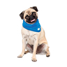GF PET Bandana Refrescante con Protección Solar para Perro, Chico/ Mediano GF PET Bandana Refrescante con Protección Solar para Perro, Chico/ Mediano