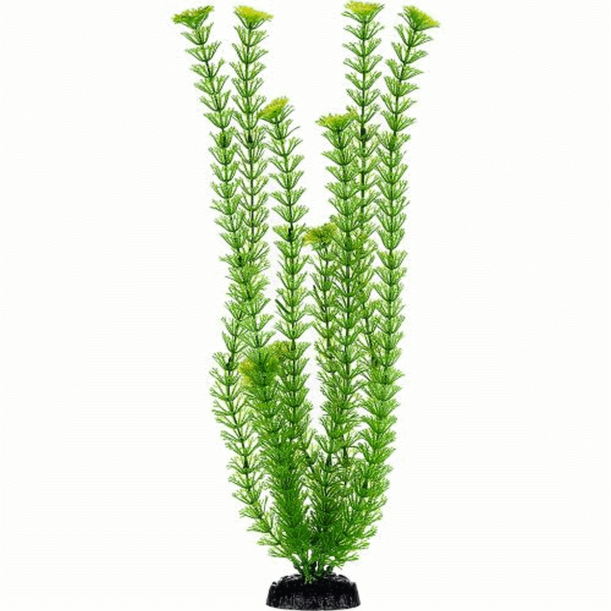 Imagitarium Planta Ambulia de Decoración para Acuario