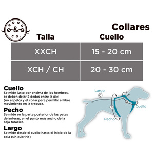 Bond & Co Collar Diseño Camuflaje con Broche Metálico para Perro, X-Chico/Chico