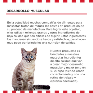 Livelong Healthy & Strong Alimento Natural Húmedo para Gato Todas las Edades Receta Delicias de Aves, 156 g