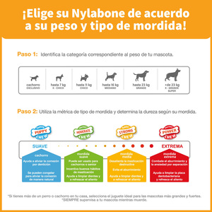 Nylabone Juguete Masticable Diseño Hueso Texturizado con Esencia Maní/ Plátano para Cachorro, Mediano